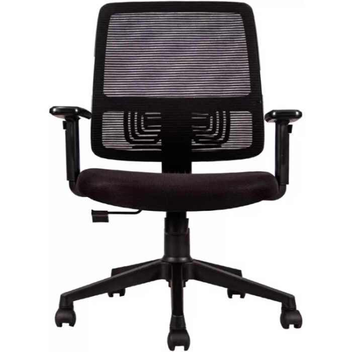 Venture Flex Ergonomic Office Chair - Low Back Chair with Armrests