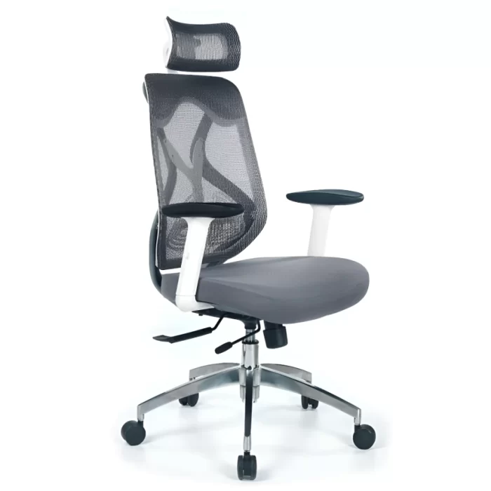 Hectar High Back Ergonomic Chair
